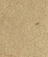 some image