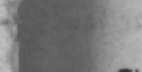 some image
