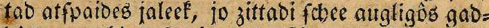 some image