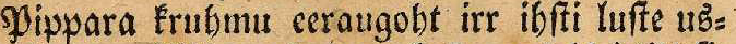 some image