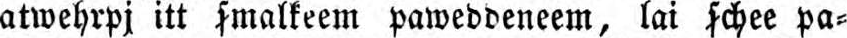 some image