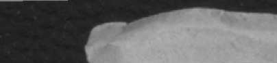 some image