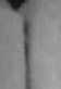 some image